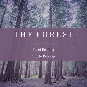 The Forest | Tarot or Oracle Reading