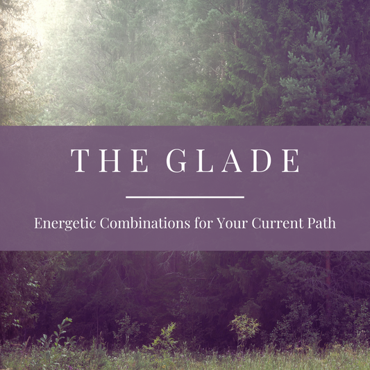 The Glade | Energetic Combinations for Your Current Path