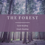 The Forest | Tarot or Oracle Reading